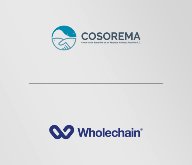 Estamos orgullosos de anunciar nuestra alianza con Wholechain.