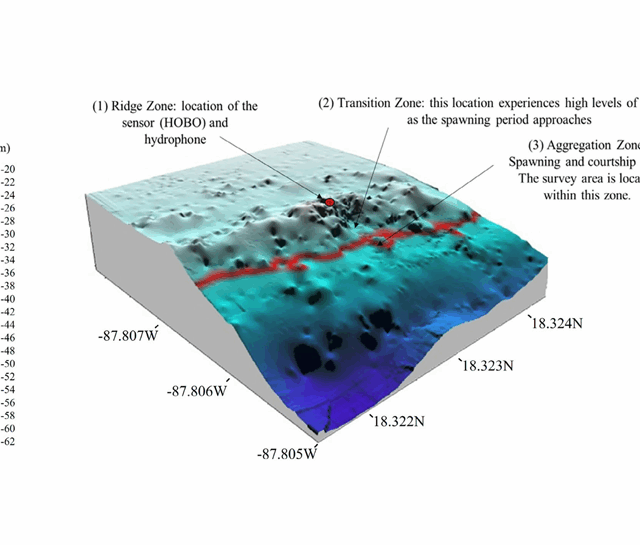The Nassau grouper Epinephelus striatus (Bloch, 1792):Monitoring of the spawning aggregation site ‘El Blanquizal’,southern Mexican Caribbean