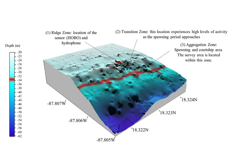 The Nassau grouper Epinephelus striatus (Bloch, 1792):Monitoring of the spawning aggregation site ‘El Blanquizal’,southern Mexican Caribbean