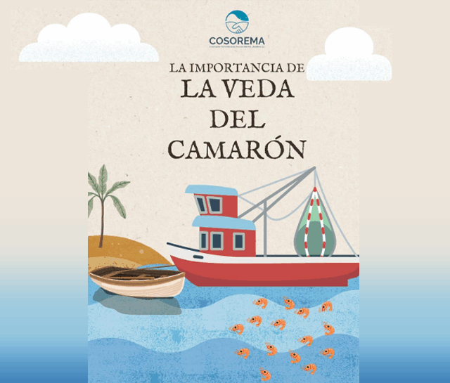 Educando para la conservación: un paso hacia el futuro de nuestros recursos marinos.