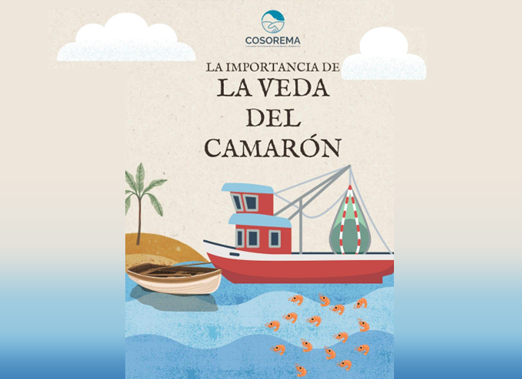 Educando para la conservación: un paso hacia el futuro de nuestros recursos marinos.