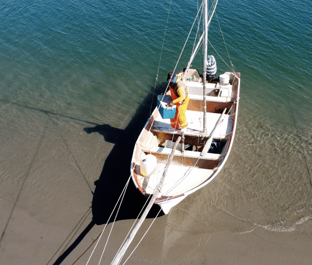 Sostenibilidad de los ecosistemas marinos, trazabilidad, y el bienestar de comunidades pesqueras, son los motivos que dieron origen a la organización COSOREMA.