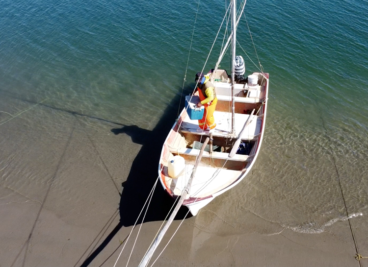 Sostenibilidad de los ecosistemas marinos, trazabilidad, y el bienestar de comunidades pesqueras, son los motivos que dieron origen a la organización COSOREMA.