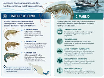 Recursos3