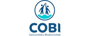 cosorema_0000_Copia-de-COBI